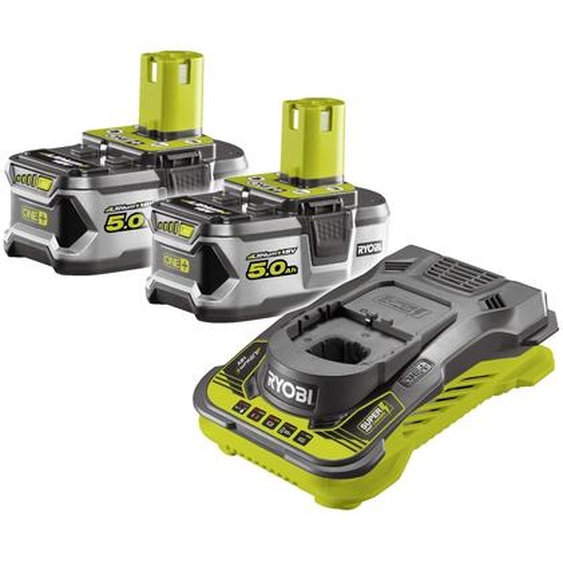 Pack chargeur ultra rapide 5,0 A + 2 Batteries Lithium+ 18V ONE+™ – 5,0 Ah