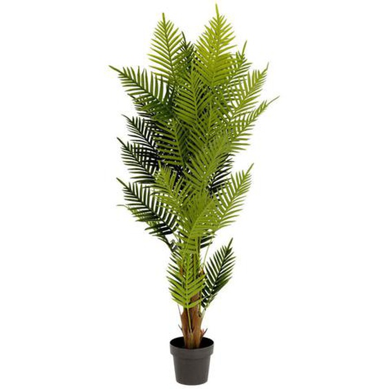 Palmera - Plante artificielle H150cm - Couleur - Vert