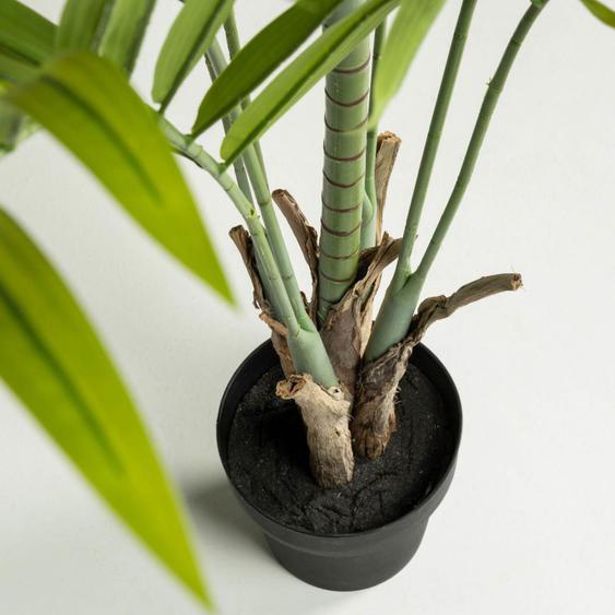 Palmera - Plante artificielle H170cm - Couleur - Vert