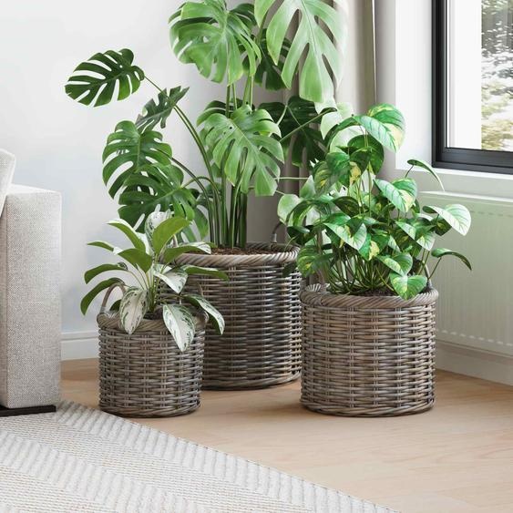 Panier à plantes avec stockage 3 pcs Gris Rattan Kubu