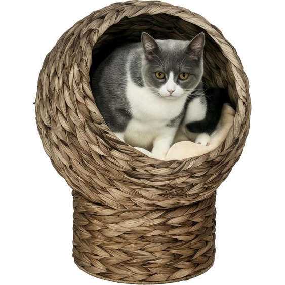 Panier chat lit surlev chat cosy niche grotte  chat grand confort dim. 40L x 37l x 51H cm coussin moelleux beige inclus