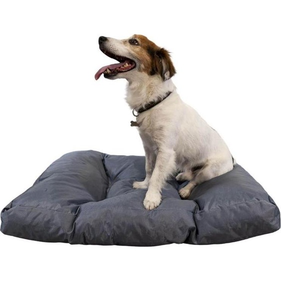 Panier chien déhoussable 75x50x10 cm BANANAIR gris