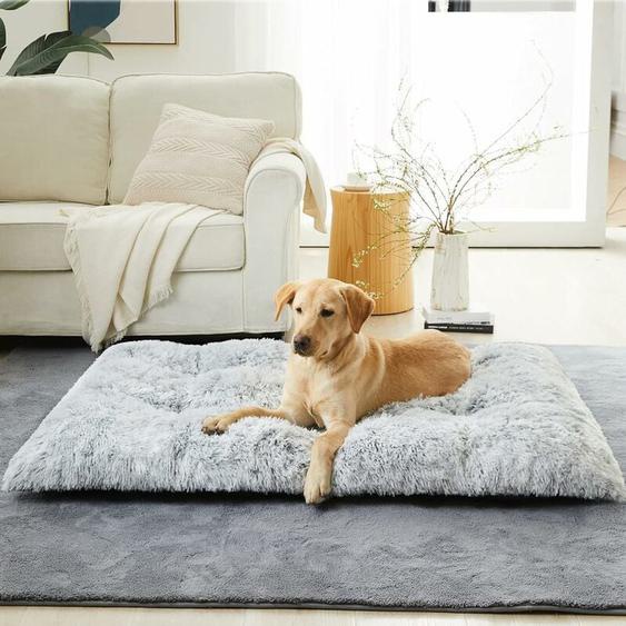 Freosen - Panier Chien Grand Taille Coussin Chien Anti Stress Lavable et Antidérapant Moelleux Lit pour Chien Peluch, Gris Claire 110x75x15cm