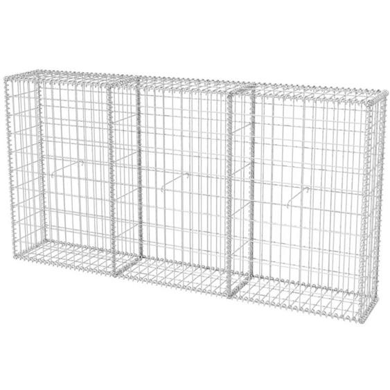 Panier de gabion Acier galvanisé 200x30x100 cm