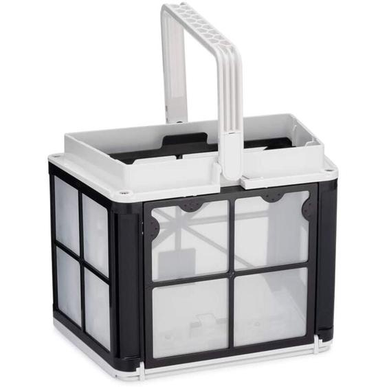 Panier-filtre avec cartouches fines printemps compatible gamme dolphin liberty - Dolphin - 9991459-assy