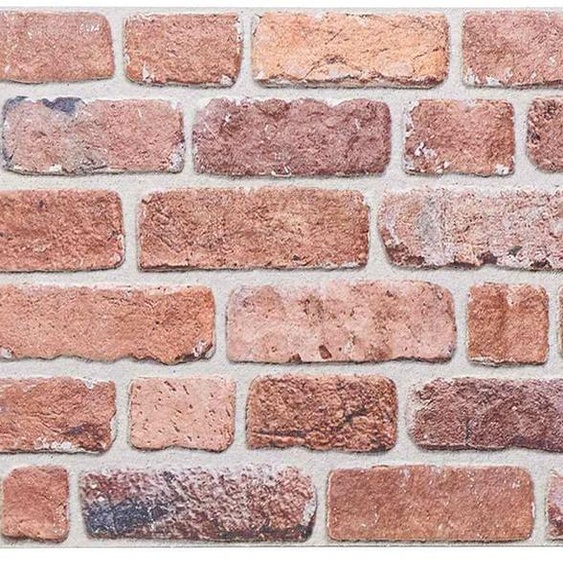 Panneaux muraux vidaXL, lot de 10, rouge, 100 x 50 cm, mousse EPS