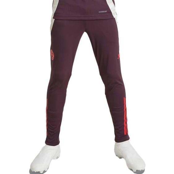 Pantalon De Jogging Garçon Bayern Munich Bordeaux