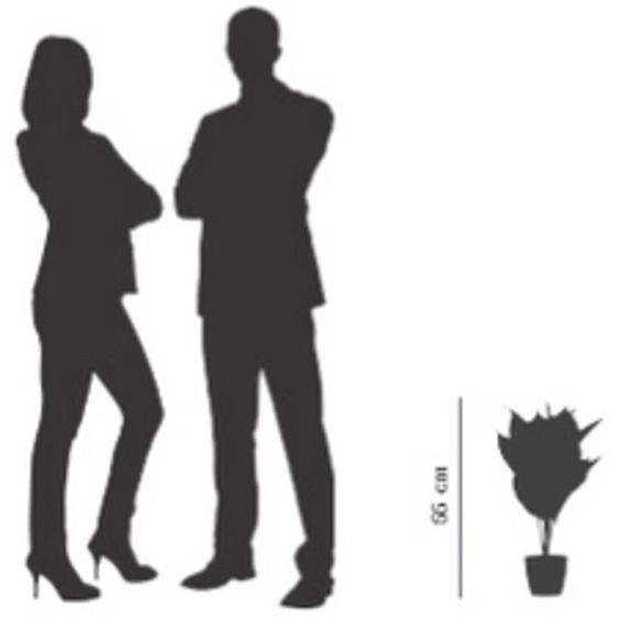 Plante artificielle fleur de lune, (H)550 mm