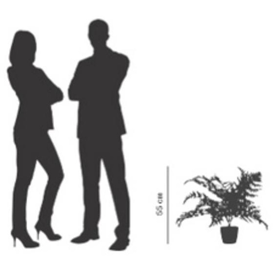 Plante artificielle fougère, hauteur: 550 mm