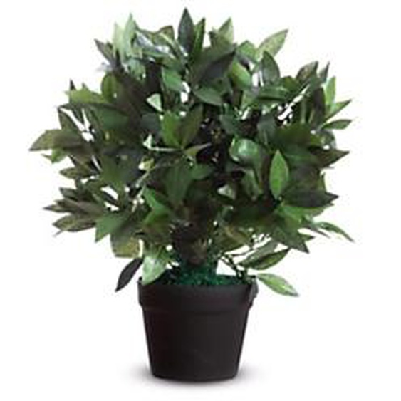 Paperflow Plante artificielle Laurier Ht. 50 cm