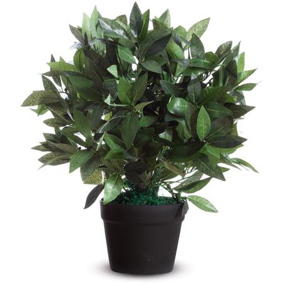 Paperflow Plante artificielle Laurier Ht. 50 cm