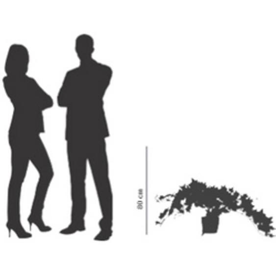 Plante artificielle lierre, hauteur: 800 mm