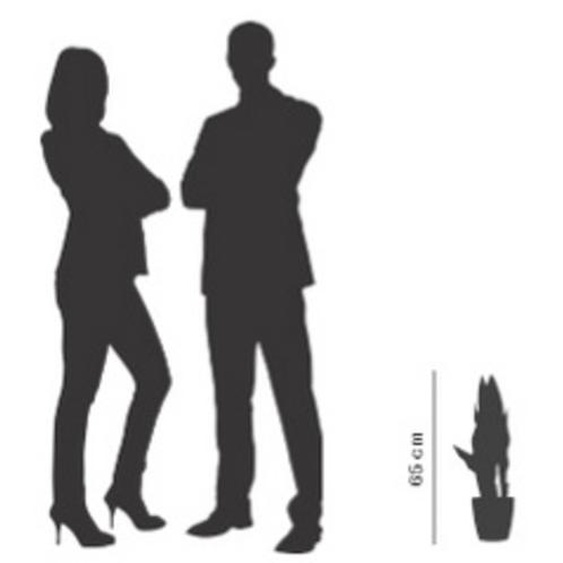 Plante artificielle sanseviera, hauteur: 650 mm