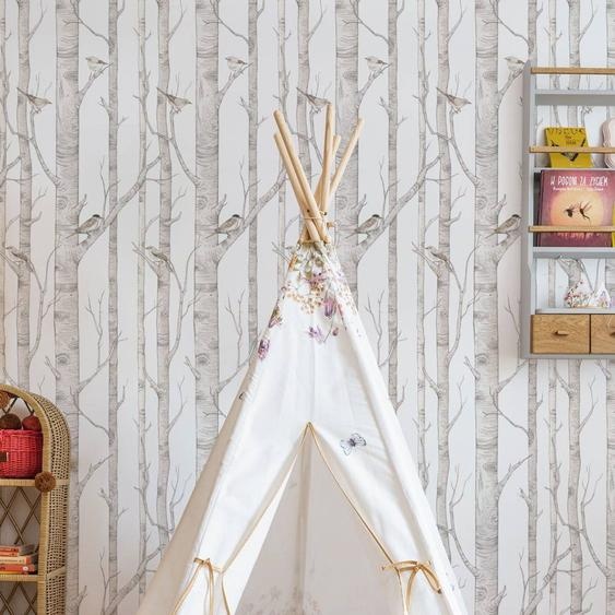 Papier Peint Enfants Forêt De Bouleaux Grey