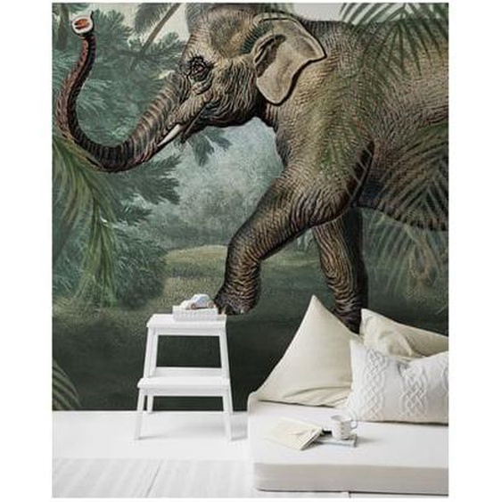 Papier peint panoramique Eléphant 280 x 200cm Vert, Marron