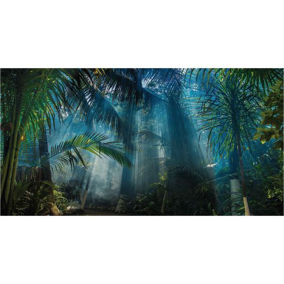 Papier peint panoramique jungle préencollé tropicale H 250 x L 480 cm