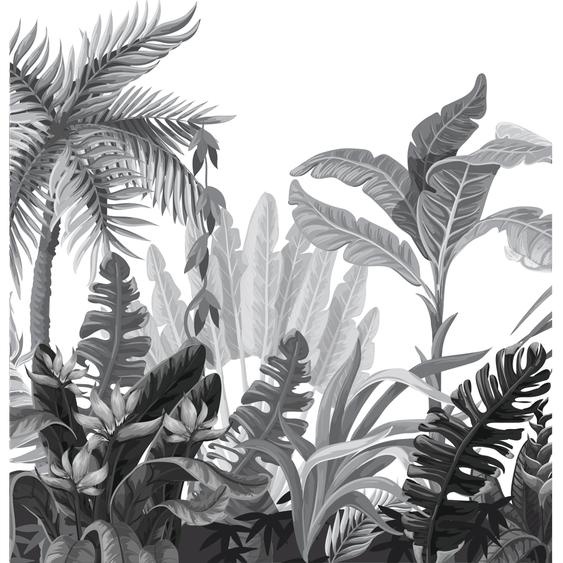 Papier peint panoramique jungle préencollé tropicale humide H 250 x L 240 cm