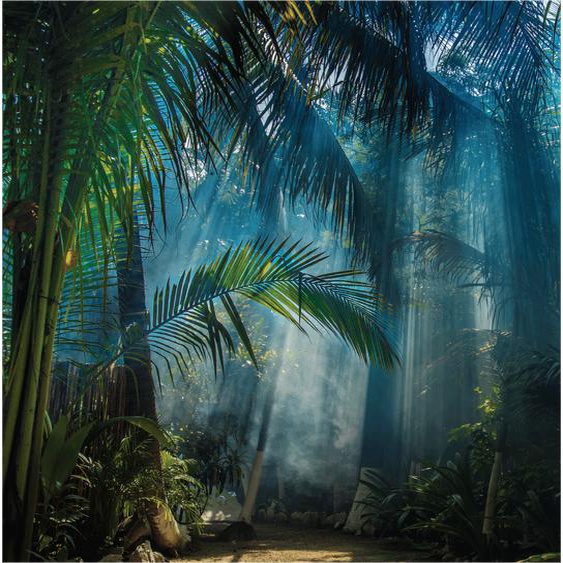Papier peint panoramique jungle tropicale préencollé H 250 x L 240 cm