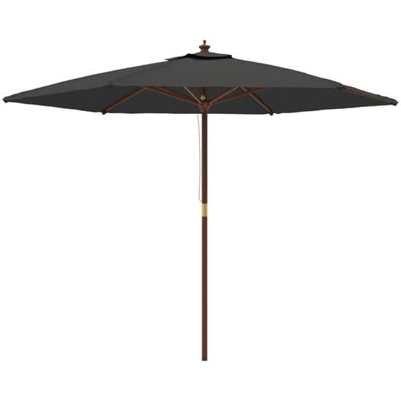 Parasol de jardin avec mât en bois anthracite 299x240 cm