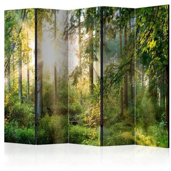 Paravent - PARIS PRIX - Untamed Nature - 5 Panneaux - Bois Massif - Multicolore
