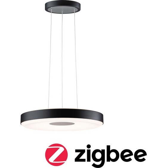 Paulmann Lampe LED suspendue Puric Pane