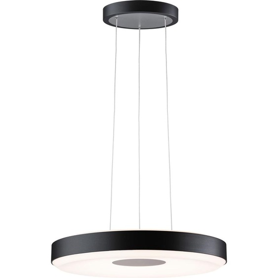 Paulmann Lampe LED suspendue Puric Pane