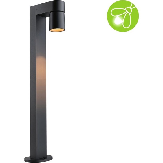 Paulmann LED Borne déclairage Kimu respectueuse des insectes