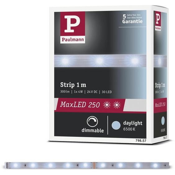 Paulmann MaxLED 250 : Bande lumineuse LED, lumière blanche du jour, extension
