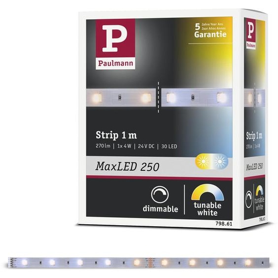 Paulmann MaxLED 250 - Extension de bande LED à lumière réglable