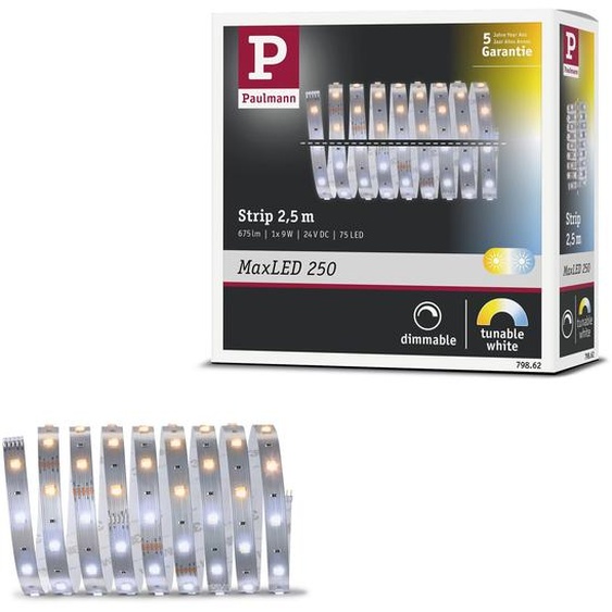 Paulmann MaxLED 250 - Extension de bande LED à lumière réglable