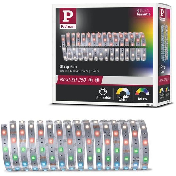 Paulmann MaxLED 250 : Extension de ruban LED RGBW