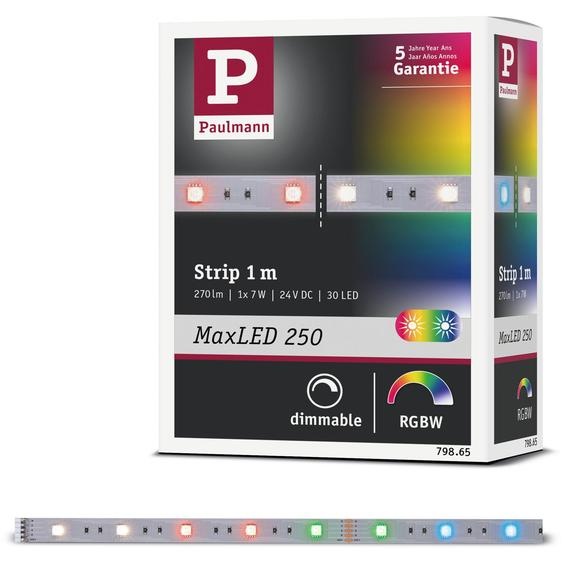 Paulmann MaxLED 250 : Extension de ruban LED RGBW