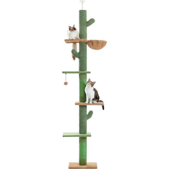 Pawz Road - Arbre à Chat du Sol au Plafond, Poteau Griffoir Sisal, Hauteur Réglable 238-275cm, Vert Cactus
