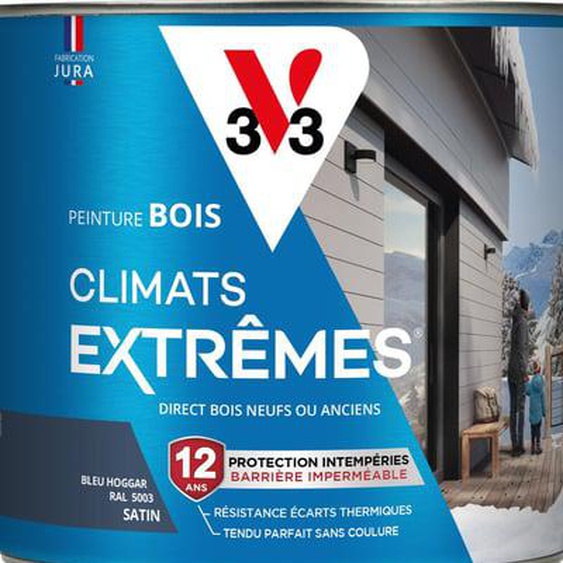 Peinture Bois Climats Extrêmes® Satin vert bruyere 2 L