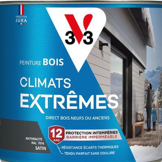 Peinture Bois Climats Extrêmes® Satin vert bruyere 2 L