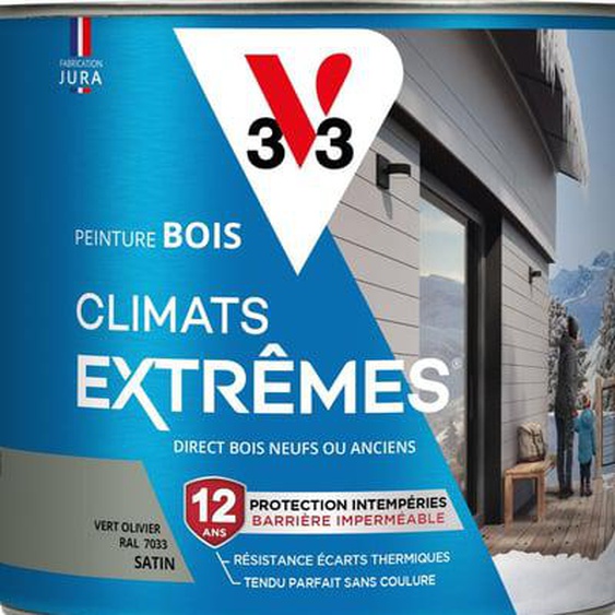 Peinture Bois Climats Extrêmes® Satin vert bruyere 2 L