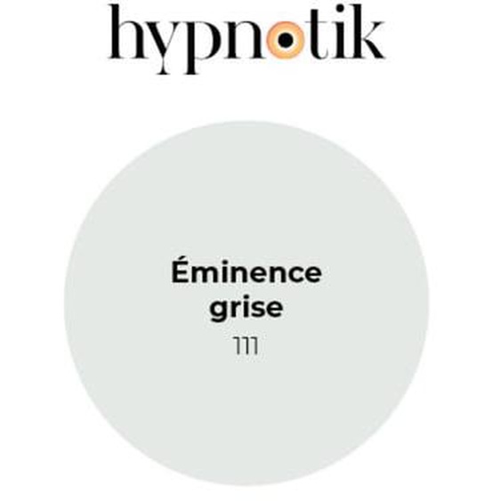 Peinture Hypnotik velours 111 Eminence grise 5 L