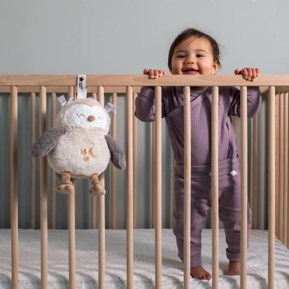 Peluche aide au sommeil lumineuse et sonore Deluxe Ollie la chouette gris