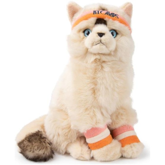 Peluche Bébé Dolly Le Chat Ragdoll - 32 Cm Ecru, Orange, Rose