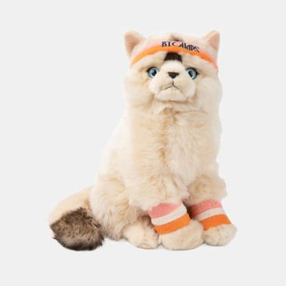Peluche - Dolly le Ragdoll