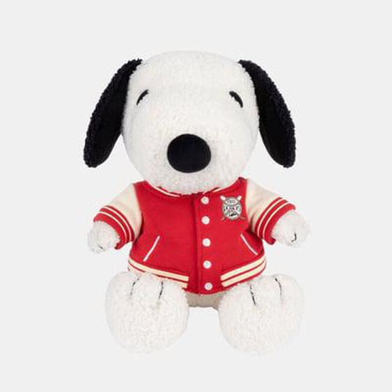 PelucheTeddy assis avec son bombers universitaire