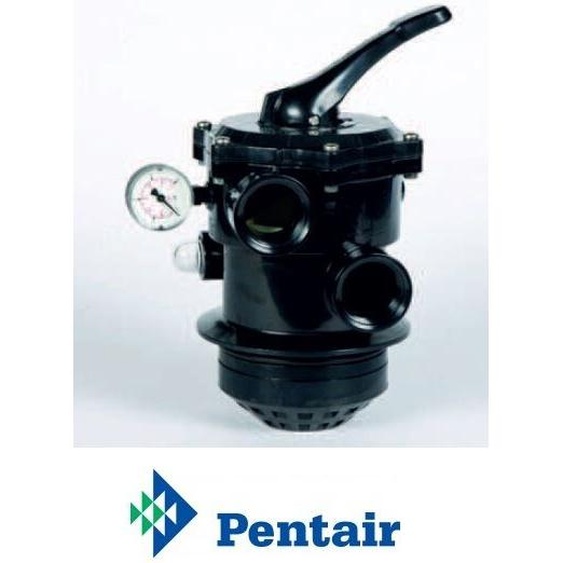 PENTAIR Vanne multivoies TAGELUS 2’’ - TAG 100