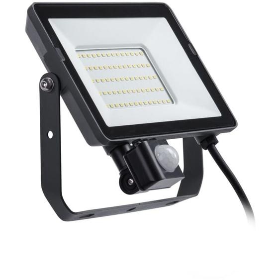 Philips Projectline, Projecteur 50w, 4000 Kelvin Avec Détecteur De Mouvement Philips By Signify 8719514954557