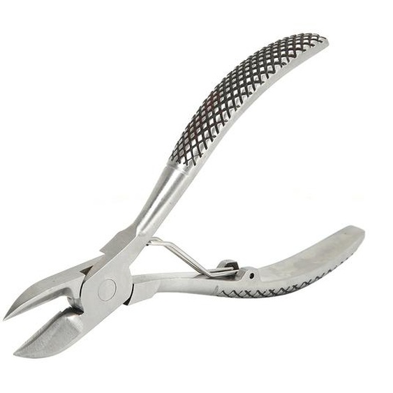 Pince à dents à ressort à bille en acier inoxydable, coupe de dents en ciseaux pour porcelets, équipement délevage de bétail