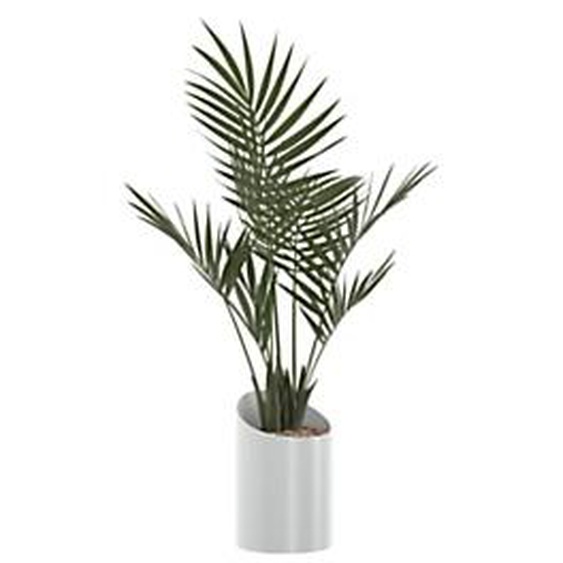 Plante artificielle - Composition palmier - Pot rond blanc