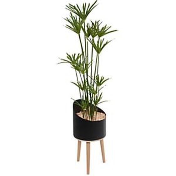 Plante artificielle dintérieur Papyrus H. 160 cm - Pot noir sur pieds bois