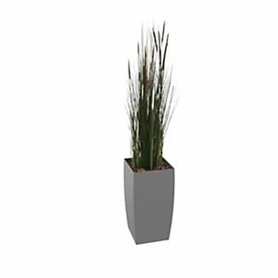 Plante artificielle dintérieur Zanichellie - Pot anthracite