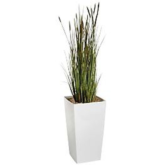 Plante artificielle dintérieur Zanichellie - Pot blanc