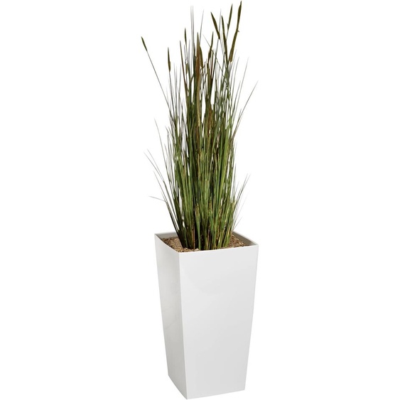 Plante artificielle dintérieur Zanichellie - Pot blanc