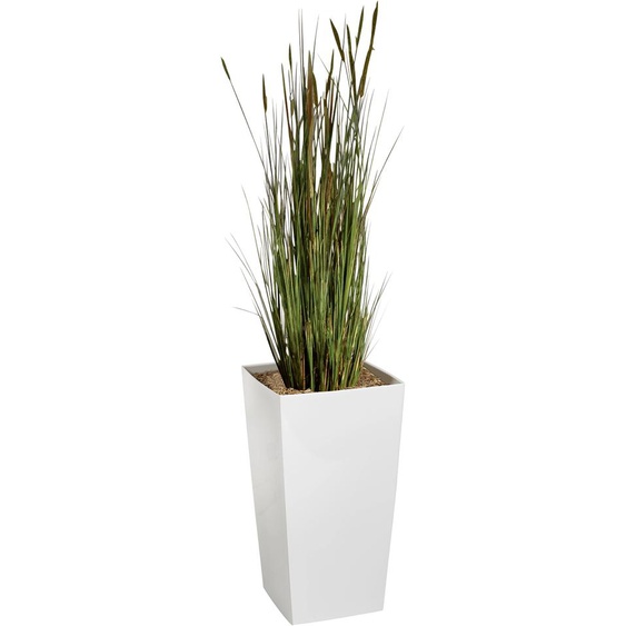 Plante artificielle dintérieur Zanichellie - Pot blanc